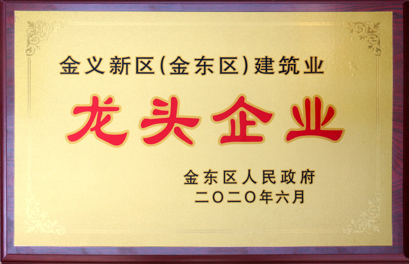 2020年 龙头企业